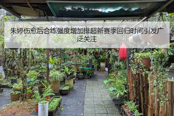 朱婷伤愈后合练强度增加排超新赛季回归时间引发广泛关注